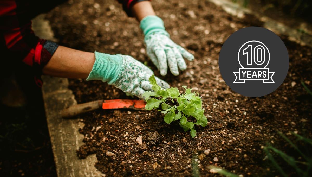 La tarea hogareña que beneficia la salud y te puede sumar hasta 10 años de vida